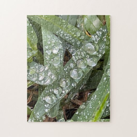 Waterdruppels op gras legpuzzel (Verticaal)
