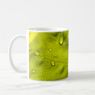 Waterdruppels op groen blad koffiemok