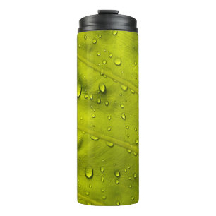 Waterdruppels op groen blad thermosbeker