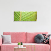Waterdruppels op Leaf Photo Canvas Afdruk (Insitu (Woonkamer))