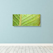 Waterdruppels op Leaf Photo Canvas Afdruk (Insitu (Houten vloer))