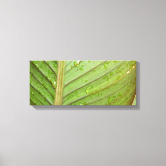 Waterdruppels op Leaf Photo Canvas Afdruk (Voorkant)