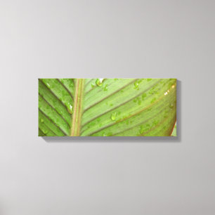 Waterdruppels op Leaf Photo Canvas Afdruk