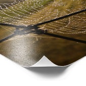 Waterdruppels op spinrag foto afdruk (Hoek)