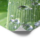 Waterdruppels. Poster (Hoek)