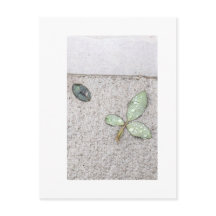 Waterdruppeltjes op bladfotografie