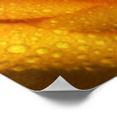 Waterdruppeltjes op Elegant Yellow Rose Poster (Hoek)