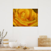 Waterdruppeltjes op Elegant Yellow Rose Poster (Keuken)