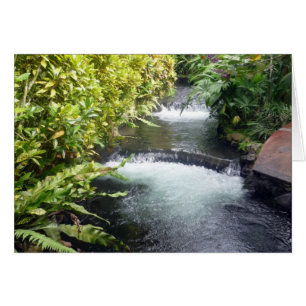 wateren van costa rica