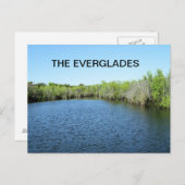 WATEREN VAN DE EVERGLADES BRIEFKAART (Voorkant / Achterkant)