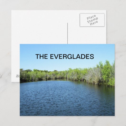 WATEREN VAN DE EVERGLADES BRIEFKAART (Voorkant / Achterkant)