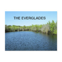 WATEREN VAN DE EVERGLADES