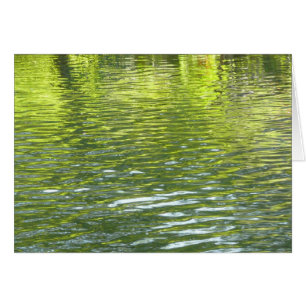Wateren van Oak Creek Geel en Groen Natuur Foto