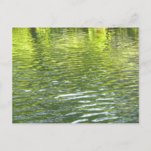 Wateren van Oak Creek Geel en Groen Natuur Foto Briefkaart