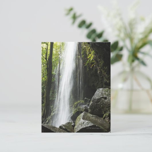 Waterfal, in rainforest, Dominica, Emerald Pool Briefkaart (Staand voorkant)