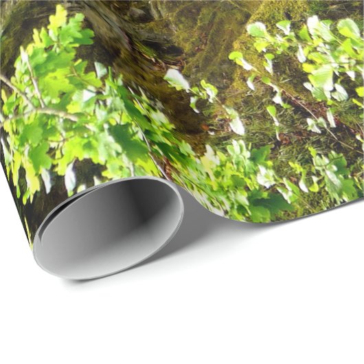 WATERFALEN CADEAUPAPIER (Rol Hoek)