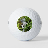 WATERFALEN GOLFBALLEN (Voorkant)