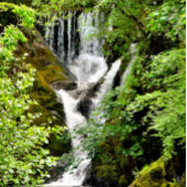 WATERFALEN GOLFHEADCOVER