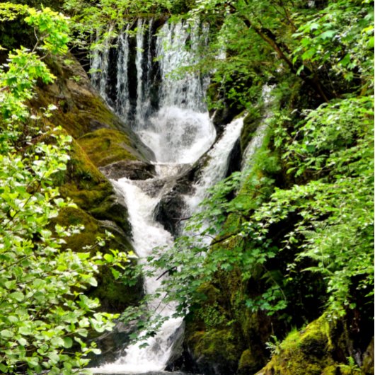 WATERFALEN GOLFHEADCOVER