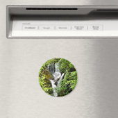 WATERFALEN MAGNEET (Insitu (Vaatwasser))