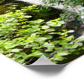 WATERFALEN POSTER (Hoek)