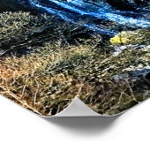 WATERFALEN POSTER (Hoek)