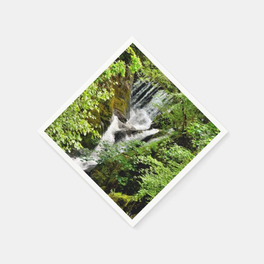 WATERFALEN SERVET (Hoek)