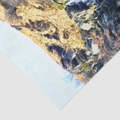 WATERFALEN TISSUEPAPIER (Detail)