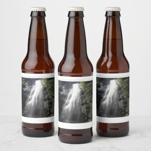 Waterfall Beer Bottle Labels Bier Etiket (Flessen)