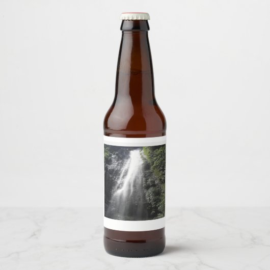 Waterfall Beer Bottle Labels Bier Etiket (Voorkant)
