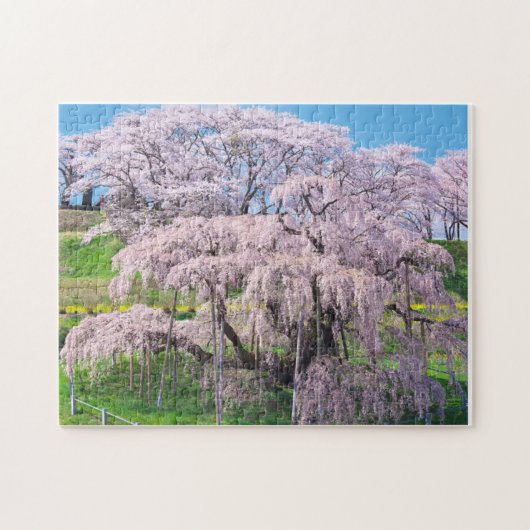 waterfall cherry blossom tree legpuzzel (Horizontaal)