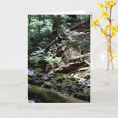 Waterfall Creek, Olympische bergen, Washington Kaart (Gele Bloem)