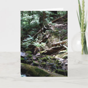 Waterfall Creek, Olympische bergen, Washington Kaart