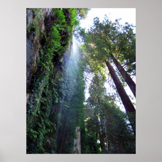 Waterfall en Cliff Poster (Voorkant)