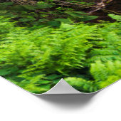 Waterfall, Hamakua coast, Hawaii Poster (Hoek)