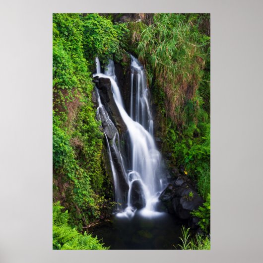 Waterfall, Hamakua coast, Hawaii Poster (Voorkant)