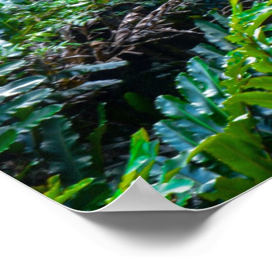 Waterfall in Maui Hawaii Poster (Hoek)