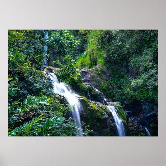 Waterfall in Maui Hawaii Poster (Voorkant)