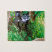 Waterfall in Starved Rock State Park Illinois Legpuzzel (Horizontaal)
