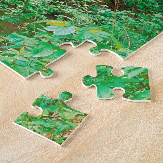 Waterfall in Starved Rock State Park Illinois Legpuzzel (Zijkant)