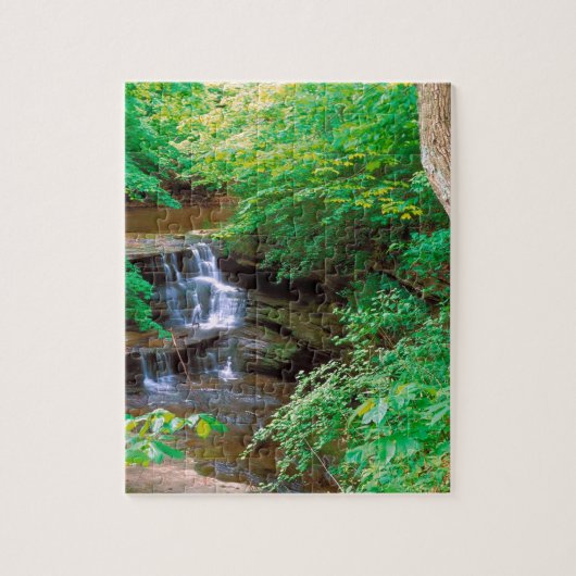 Waterfall in Starved Rock State Park Illinois Legpuzzel (Verticaal)