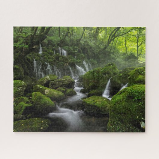 Waterfall Jigzaag Puzzle Legpuzzel (Horizontaal)