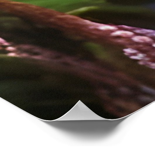 Waterfall Mountain Valley Poster (Hoek)