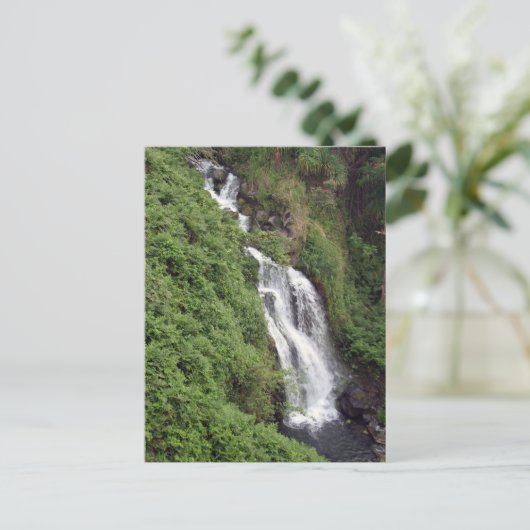 Waterfall Near Hilo, Hawaii Briefkaart (Staand voorkant)