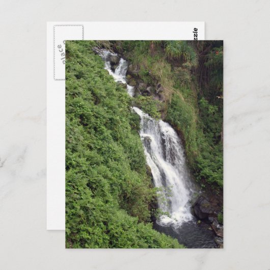 Waterfall Near Hilo, Hawaii Briefkaart (Voorkant / Achterkant)
