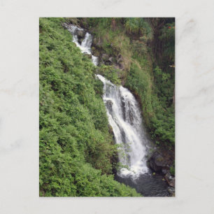 Waterfall Near Hilo, Hawaii Briefkaart