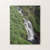 Waterfall Near Hilo, Hawaii Legpuzzel (Verticaal)
