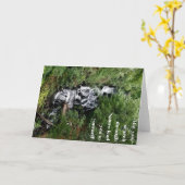 Waterfall Notecard Kaart (Gele Bloem)