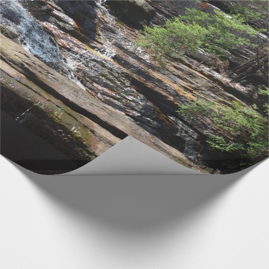 Waterfall Roll Cadeaupapier (Hoek)