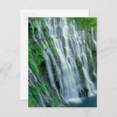 Waterfall schilderachtig, Californië Briefkaart (Voorkant / Achterkant)